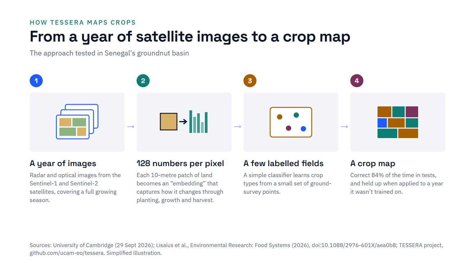 Diagram in four steps: a year of Sentinel satellite images, 128 numbers per 10-metre pixel, a few labelled fields, and a crop map that was correct 84% of the time in tests